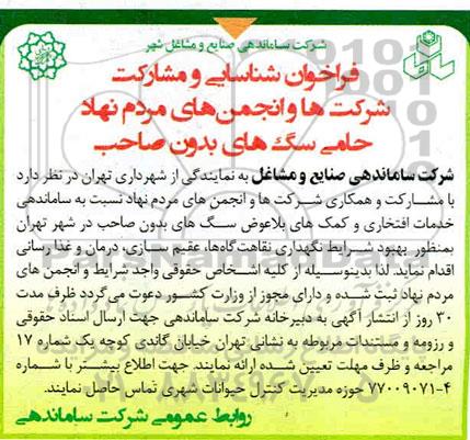 فراخوان شناسایی و مشارکت شرکت ها و انجمن های مردم نهاد حامی سگ های بدون صاحب 