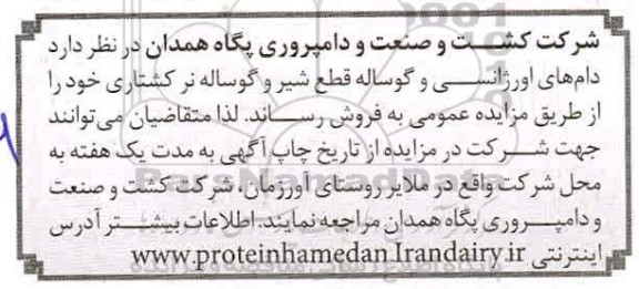 مزایده دامهای اورژانسی و گوساله قطع شیر 