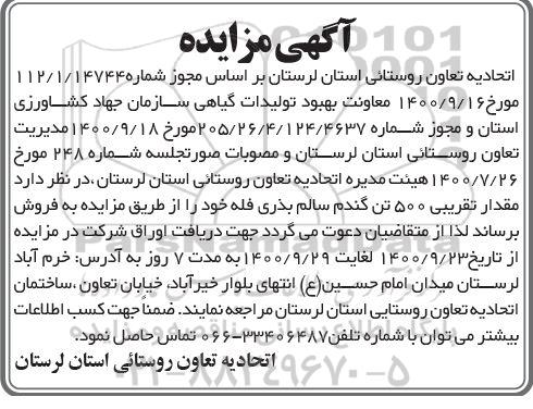 مزایده 500 تن گندم سالم بذری