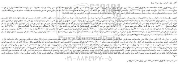 مزایده دوازده راس گاو شیری 