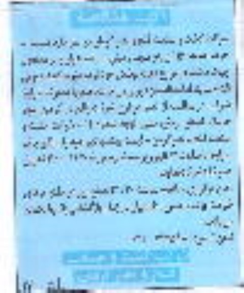 مناقصه خرید 150 تن بذر سیب زمینی
