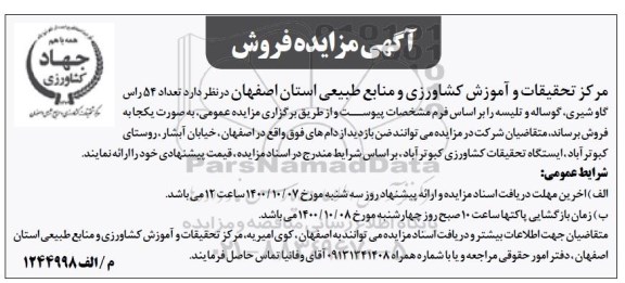 مزایده فروش تعداد 54 راس گاو شیری...