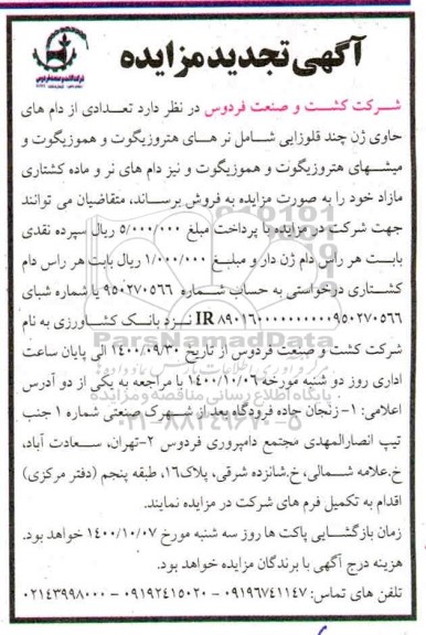 تجدید مزایده تعدادی از دام های حاوی ژن چند قلوزایی شامل نرهای هتروزیگوت