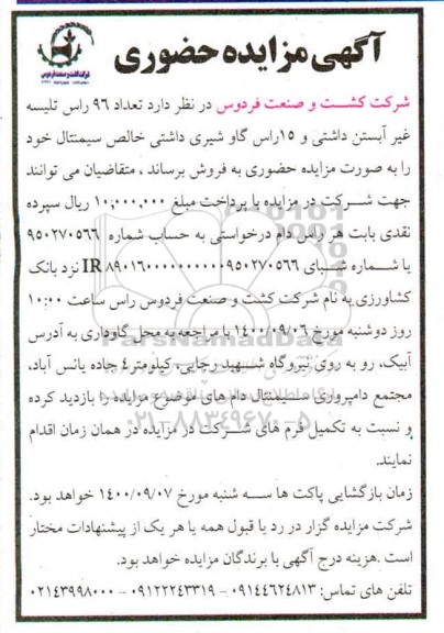 مزایده تعداد 96 دام راس تلیسه غیر آبستن داشتی و 15 راس گاو شیری خالص