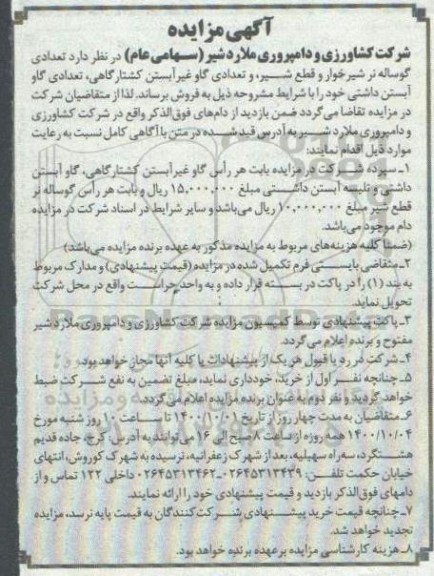 مزایده تعدادی گوساله نر شیرخوا و قطع شیر و تعدادی گاو غیر آبستن  ...