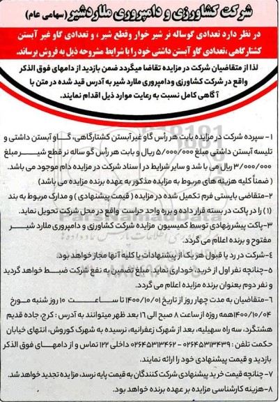 مزایده تعدادی گوساله نر شیرخوار و قطع شیر و تعدادی گاو غیر آبستن کشتارگاهی ...