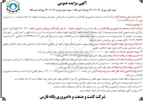 مزایده فروش حدود 500 راس گوساله نر پرواری - نوبت دوم