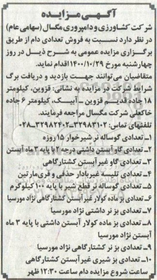مزایده فروش تعدادی دام
