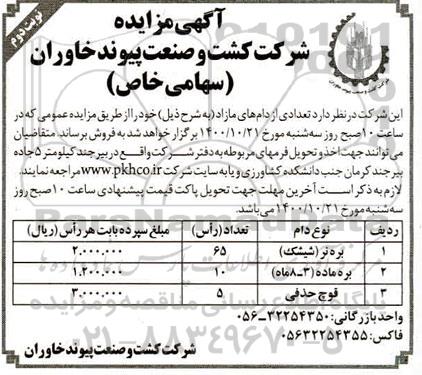 مزایده تعدادی از دامهای مازاد نوبت دوم 