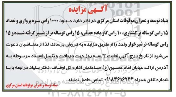 مزایده , مزایده فروش حدود 1000 راس بره پرواری