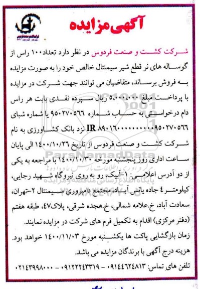 مزایده فروش تعداد 100 راس از گوساله های نر قطع شیر سیمنتال خالص 