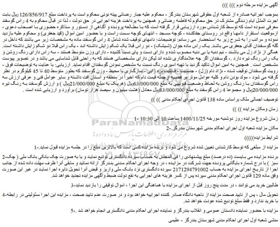 مزایده فروش یک راس ماده جوان (شیشک)