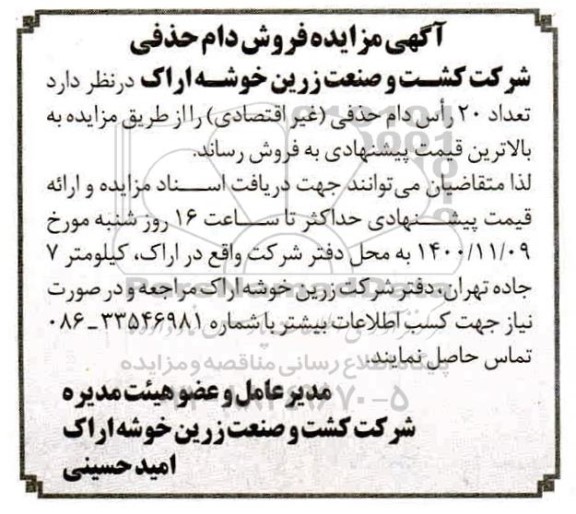 مزایده تعداد 20 راس دام حذفی