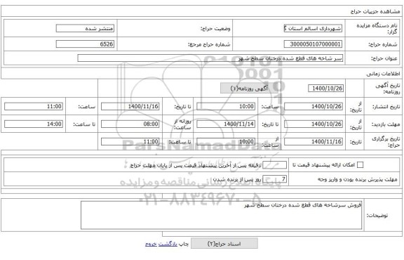 سر شاخه های قطع شده درختان سطح شهر