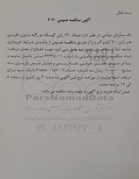 مناقصه تعداد 140 راس گوساله دورگه با وزن تقریبی هر راس 700 کیلوگرم