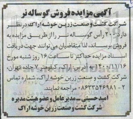 مزایده فروش تعداد 200 راس گوساله نر