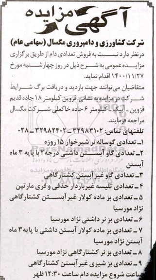 مزایده فروش تعدادی دام