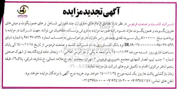 تجدید مزایده تعدادی از دام های حاوی ژن چند قلوزایی شامل نرهای هتروزیگوت