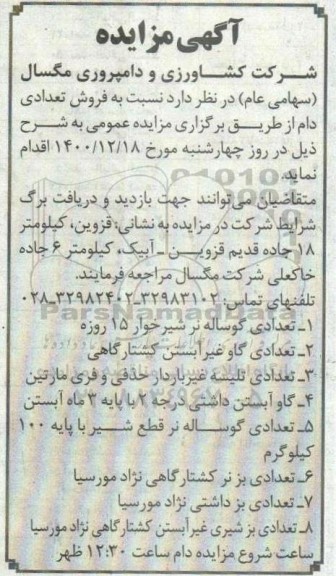 مزایده فروش تعدادی دام