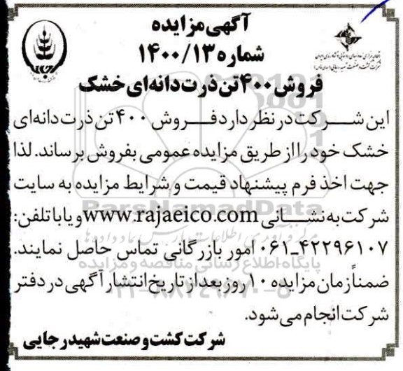 مزایده فروش 400 تن ذرت دانه ای خشک