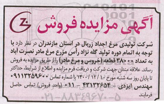 مزایده خروس و مرغ مادر