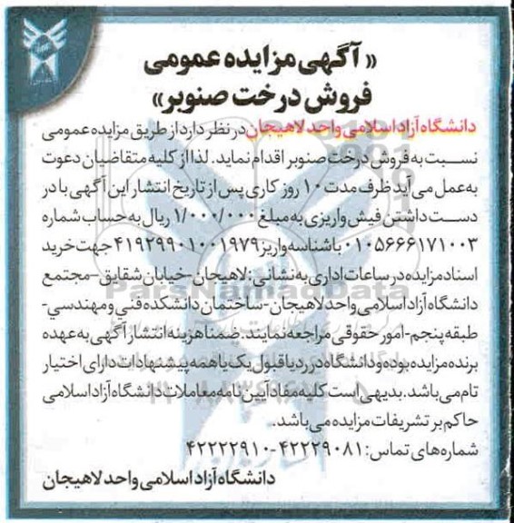 مزایده, مزایده فروش درخت صنوبر