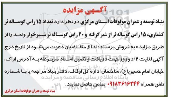 مزایده , مزایده تعداد 15 راس گوساله نر کشتاری ....