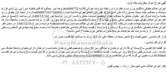 مزایده دو قطعه 30 قصبی باغ پسته ای