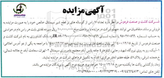 مزایده فروش 70 راس گوساله های نر قطع شیر سیمنتال