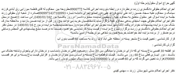 مزایده فروش دو قطعه 30 قصبی باغ پسته ای