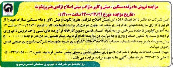 مزایده، مزایده فروش دام زنده سنگین