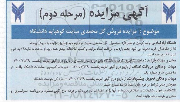 مزایده فروش گل محمدی مرحله دوم