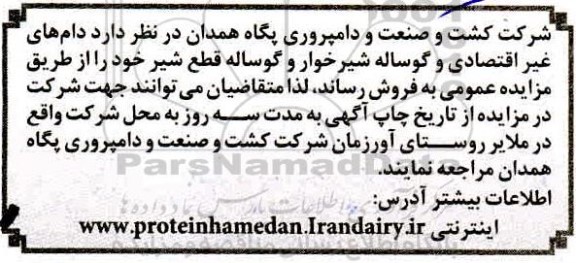 مزایده، مزایده فروش دام های غیر اقتصادی و گوساله شیرخوار و گوساله قطع شیر 