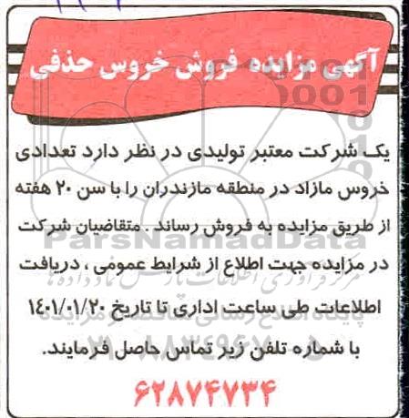 مزایده، مزایده فروش خروس حذفی